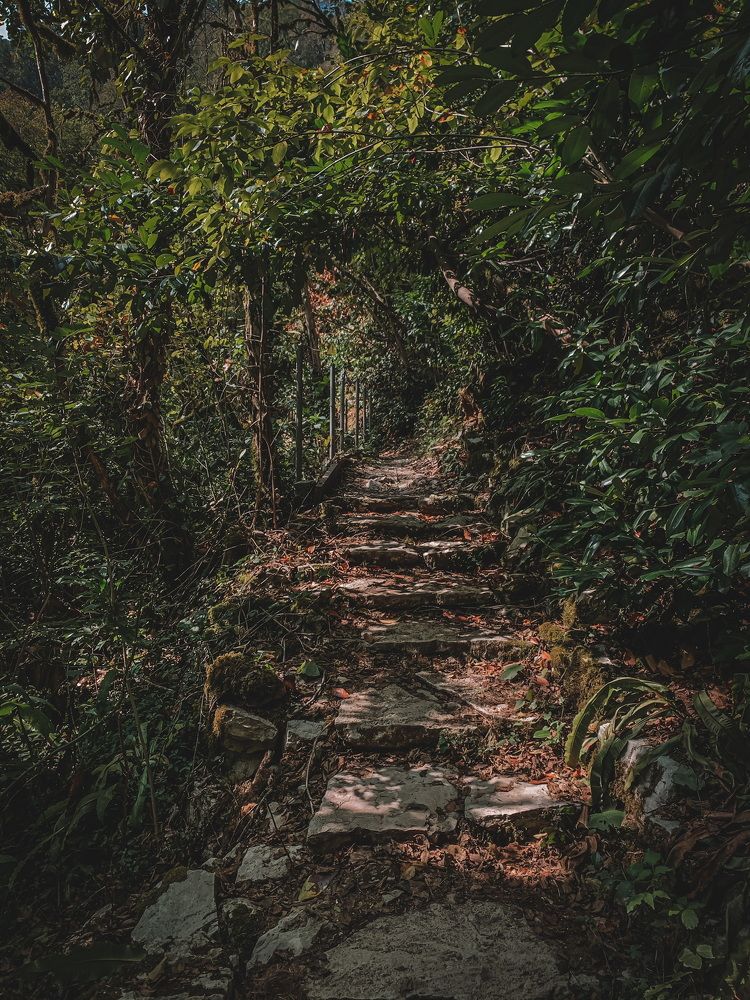 Photograph by Ян Ступкин