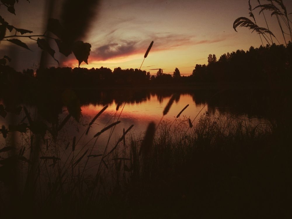 Photo #6471930