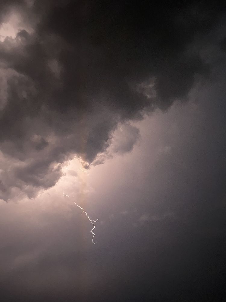 Photograph by Sharma Dr Megha