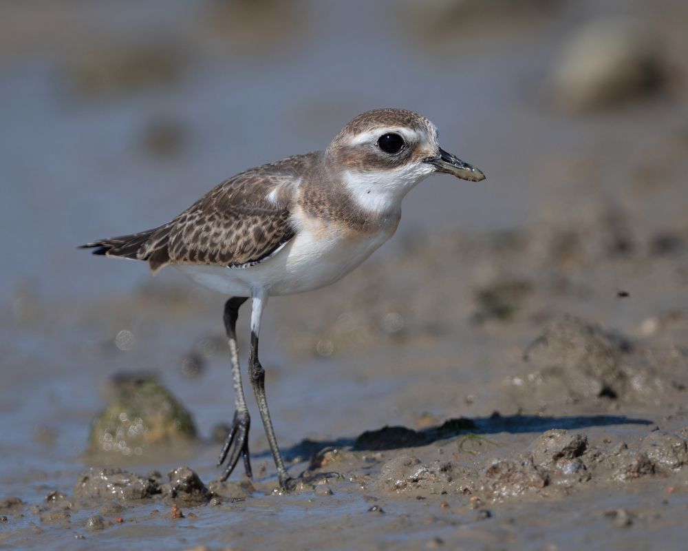 Photograph by Lucas Oh