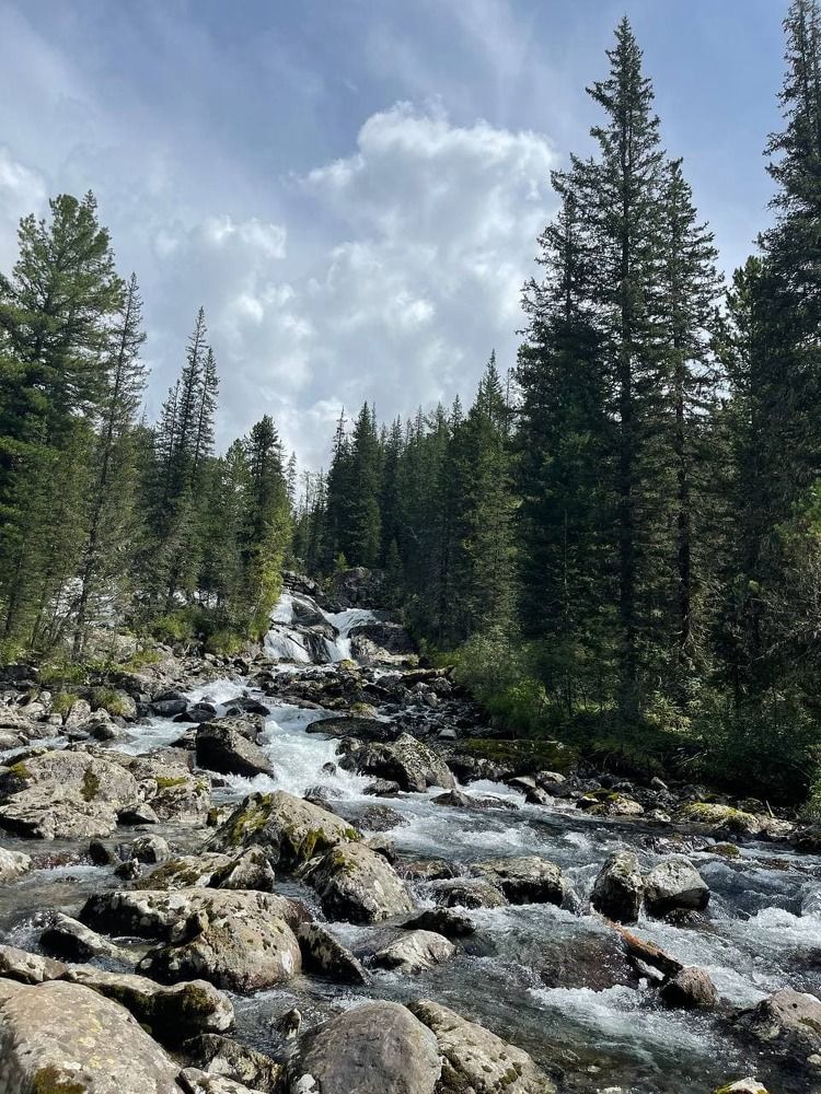 Фотография автора галина лапшина