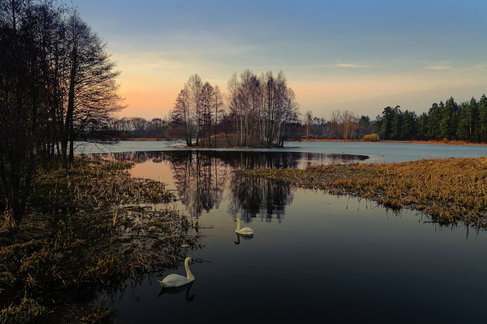 Лебединое озеро