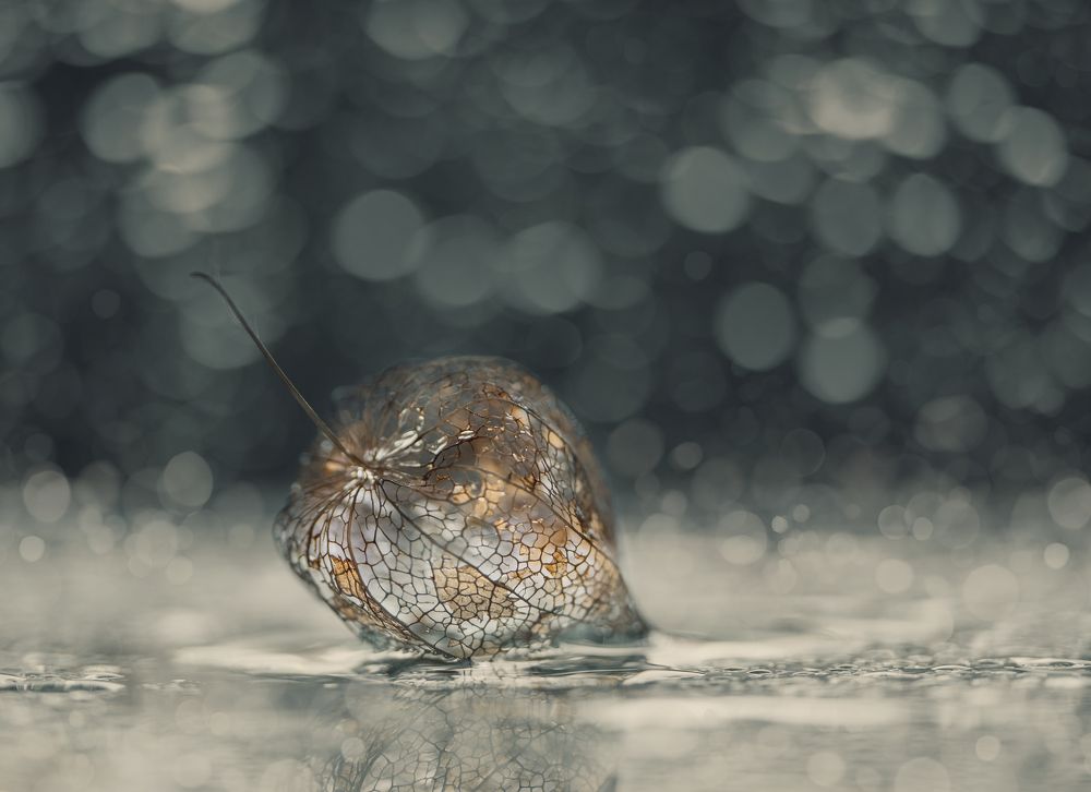 Photograph by Nikolina Georgieva