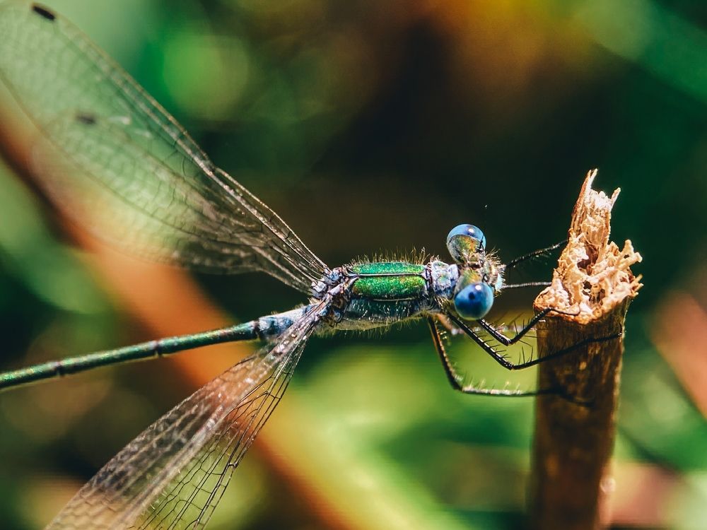 Фотография автора Анна Котлова