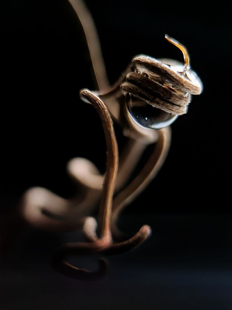 Photograph by Светлана Смирнова