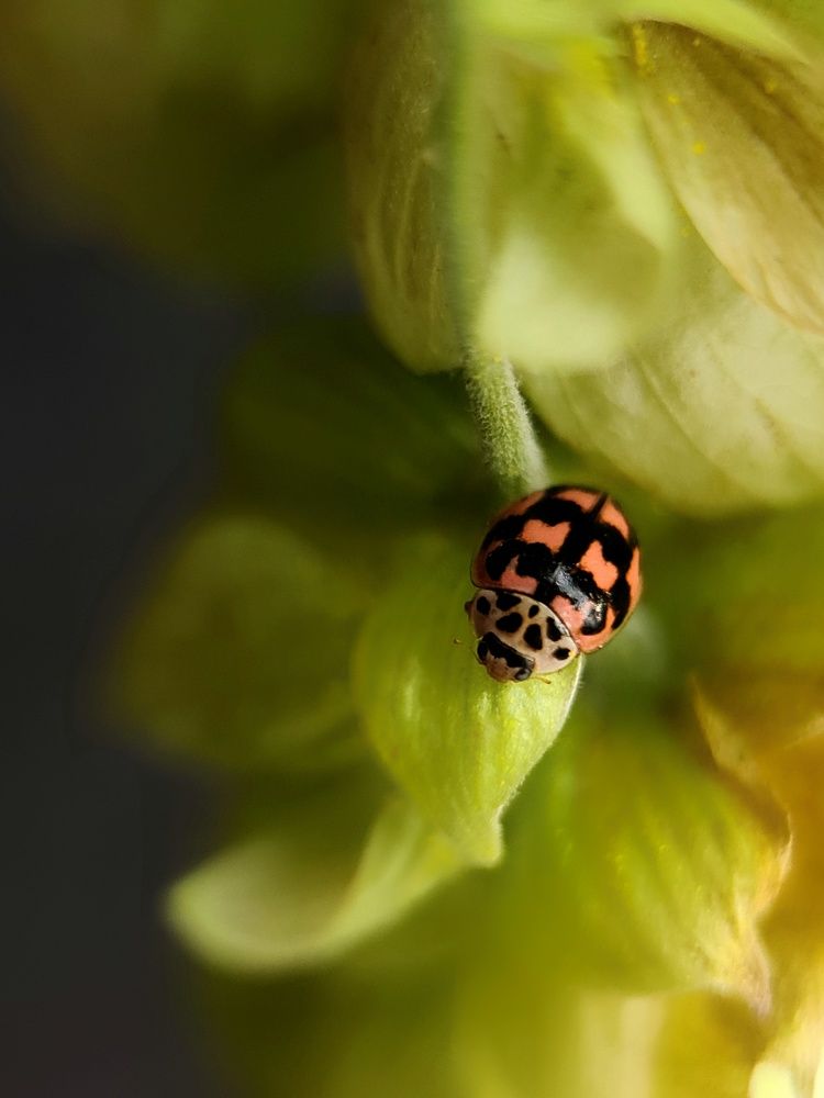 Photograph by Светлана Смирнова