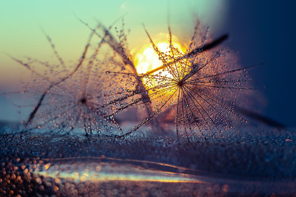 Photograph by Натали Чалык