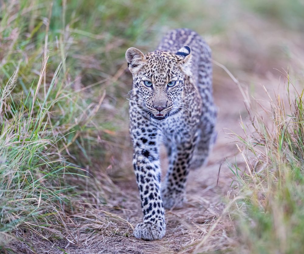 Photograph by Ruzdi Ekenheim