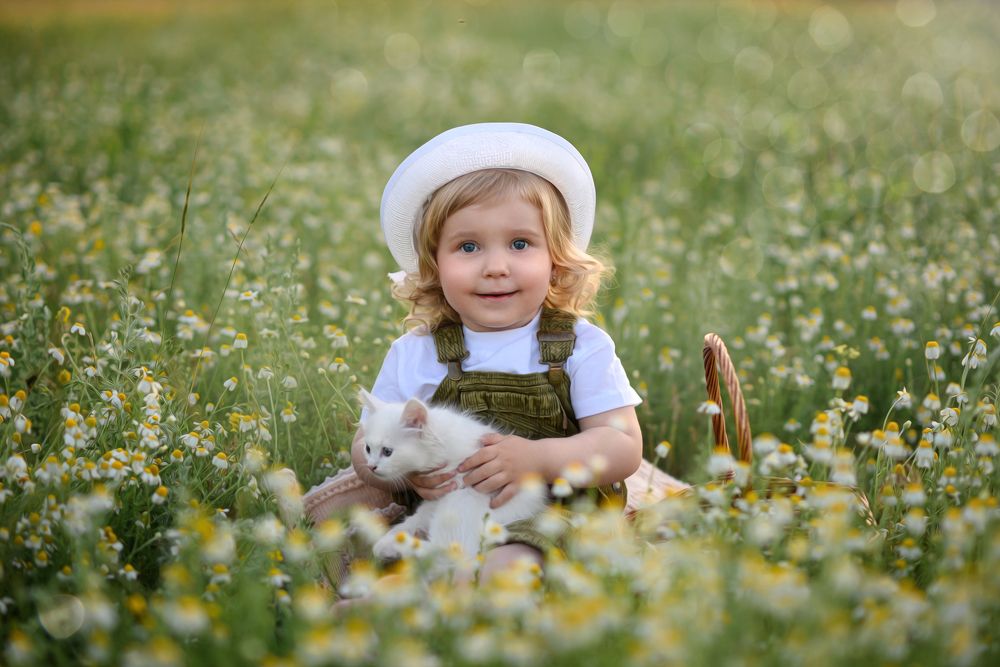 Photograph by Екатерина Лапшина