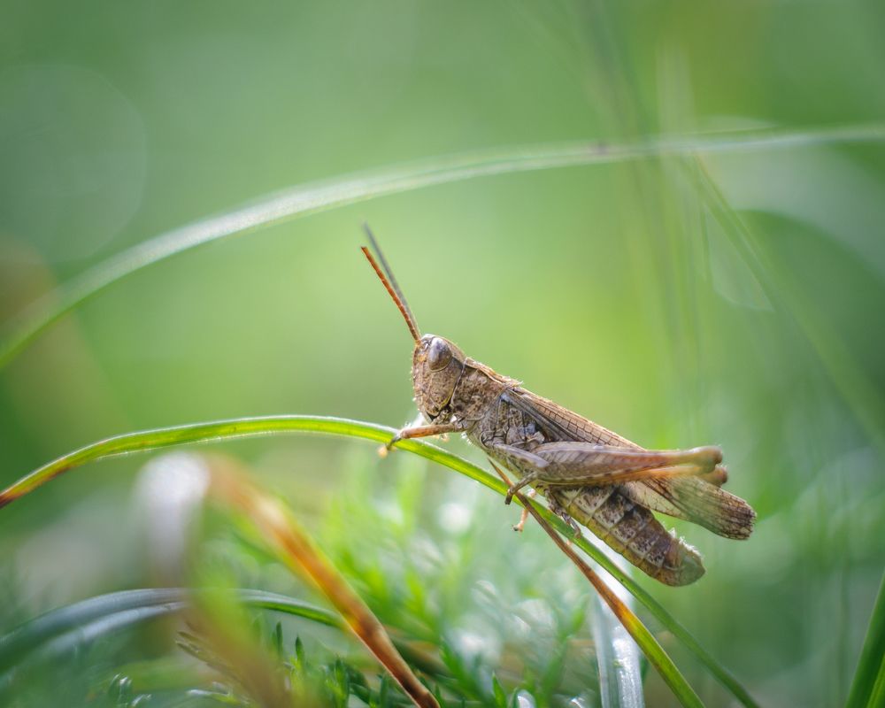 Photograph by Динара Зуйкова