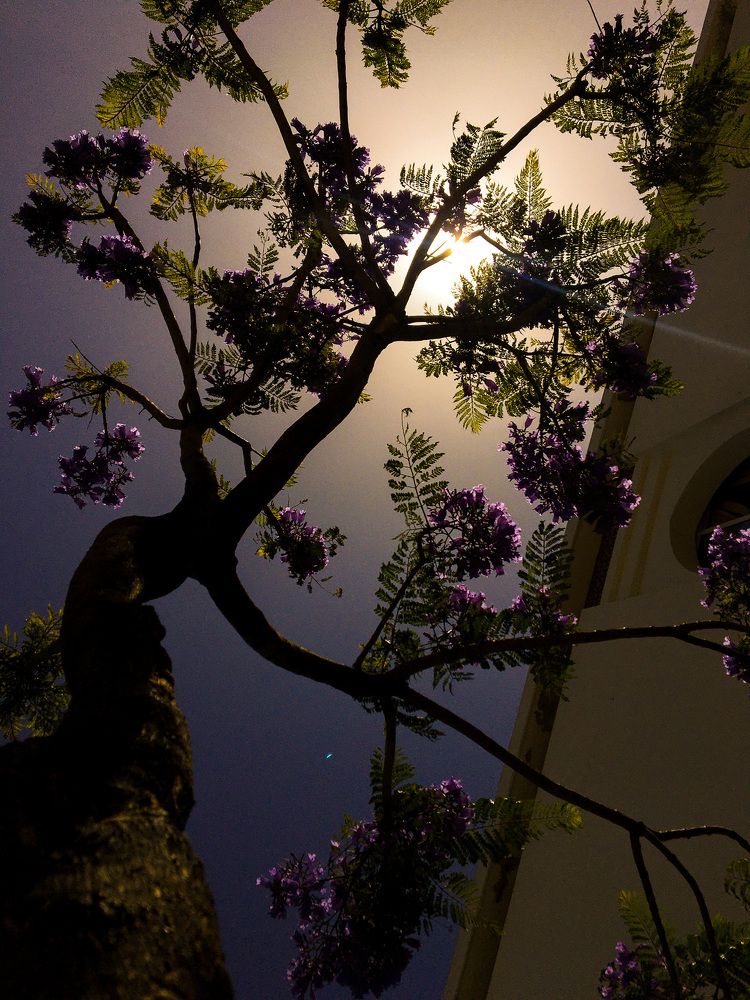 Photograph by Reda Grain