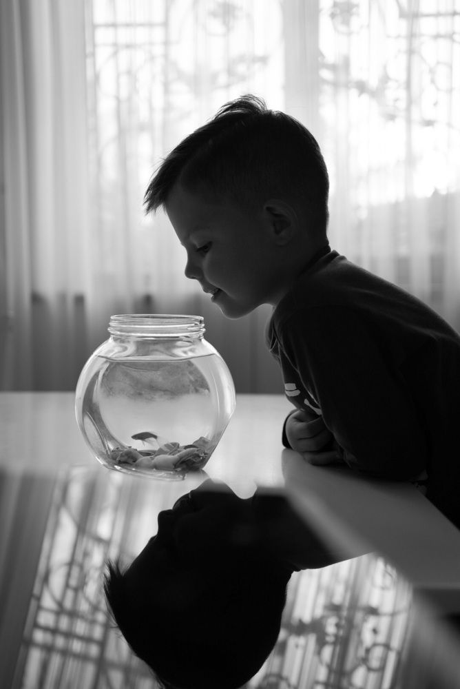 Photograph by Liliya Mikhaylova