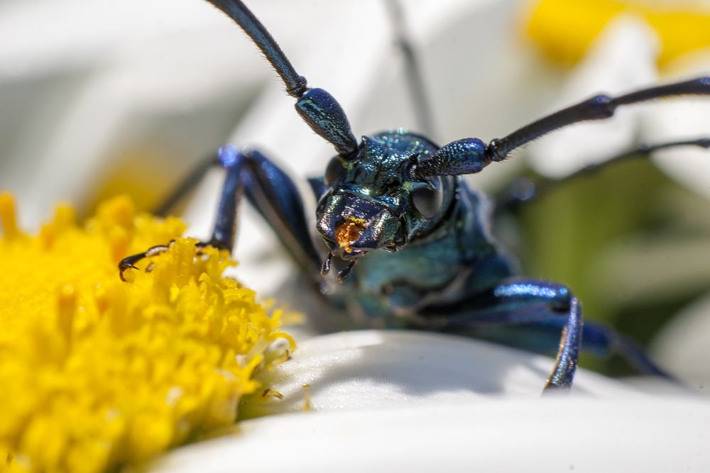 Photograph by Роман Приходько