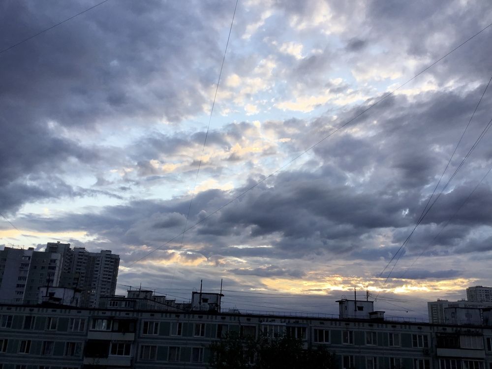 Photo #6472583