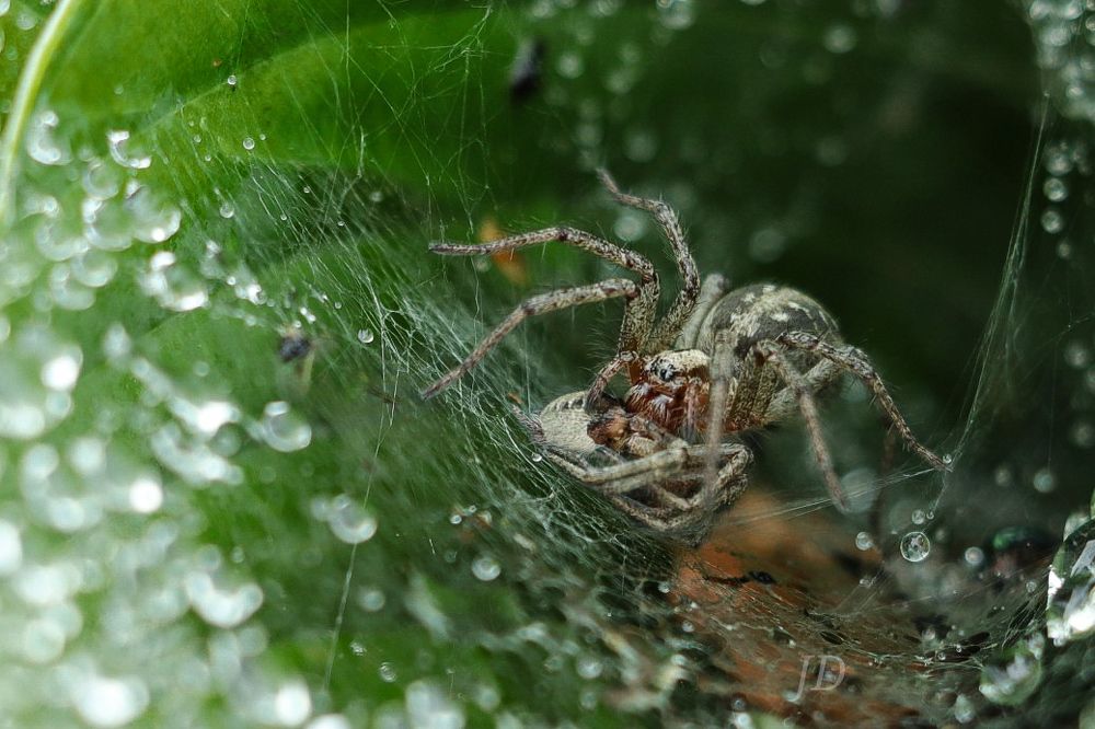 Photograph by Jelena Dzene