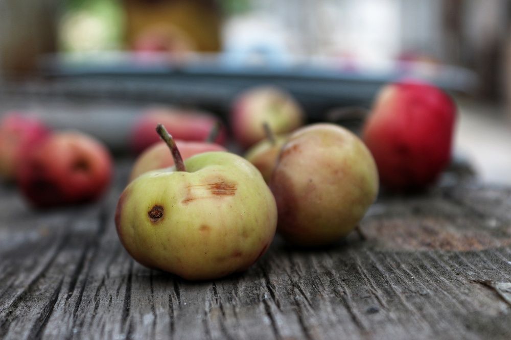 Photograph by Sergey Kim