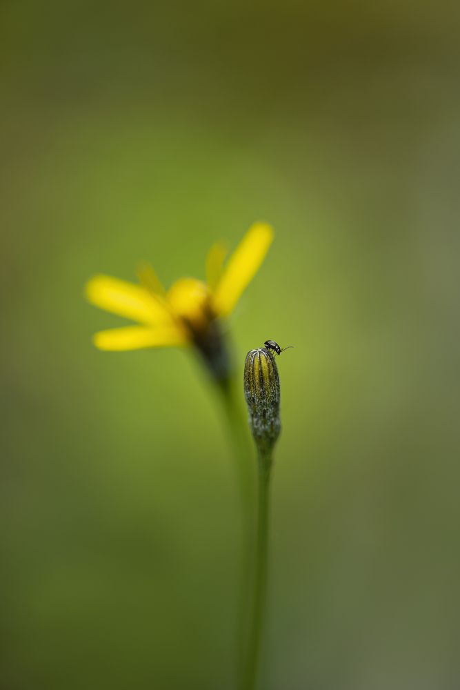 Photograph by Nikolina Georgieva