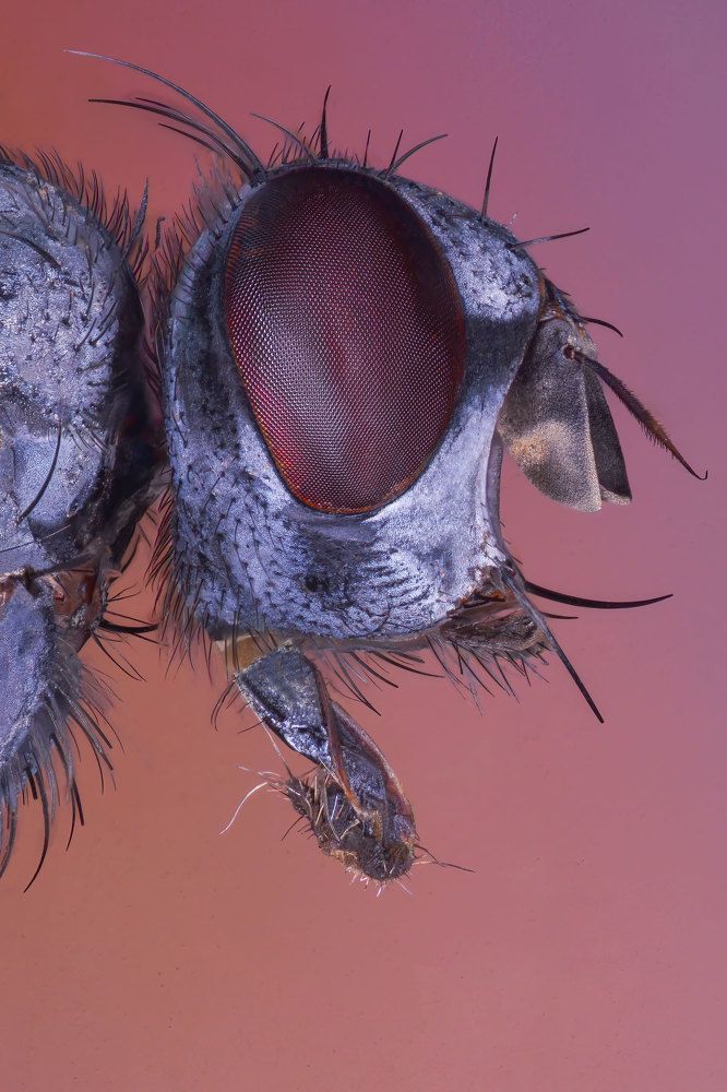 Фотография автора sherif Abdallah