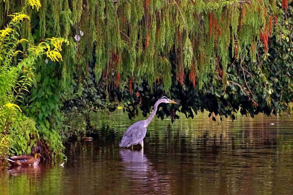 Photograph by backareva irina