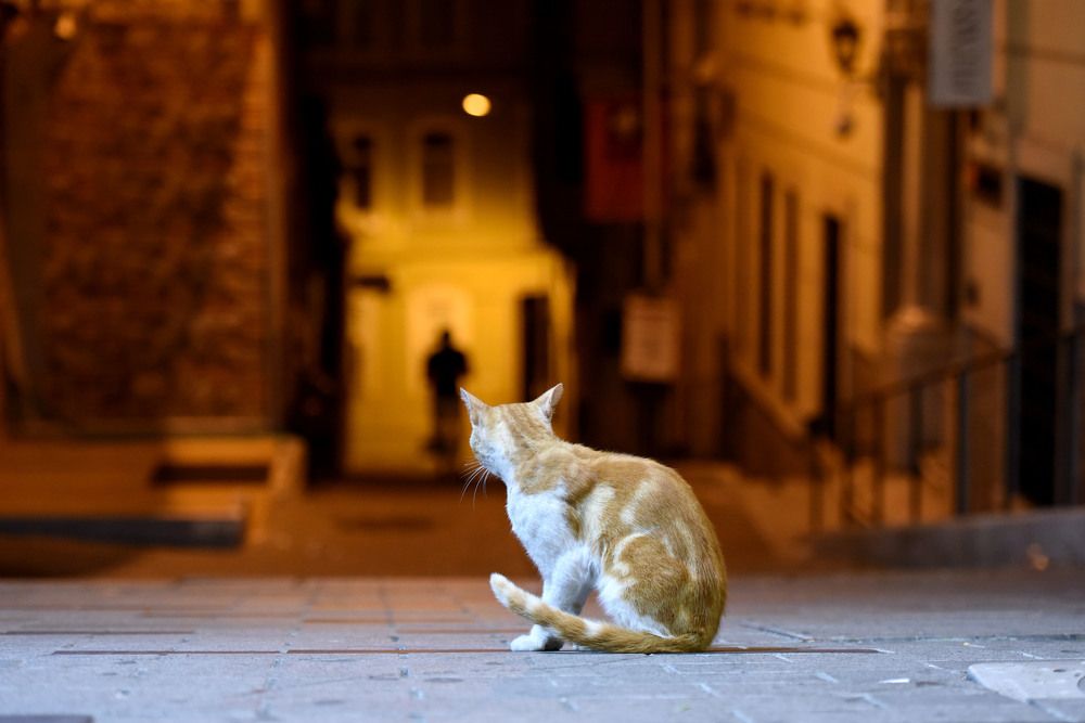 Photograph by Наталья Ляшенко