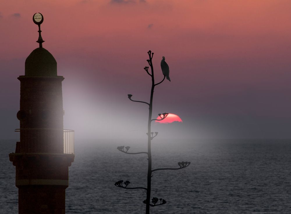 Photograph by Leonid Lan