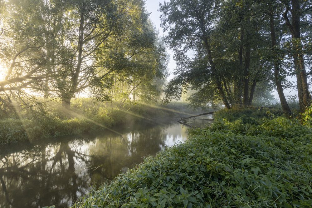 Photograph by Сергей