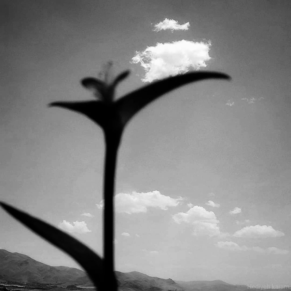 Photograph by Karami Hedi