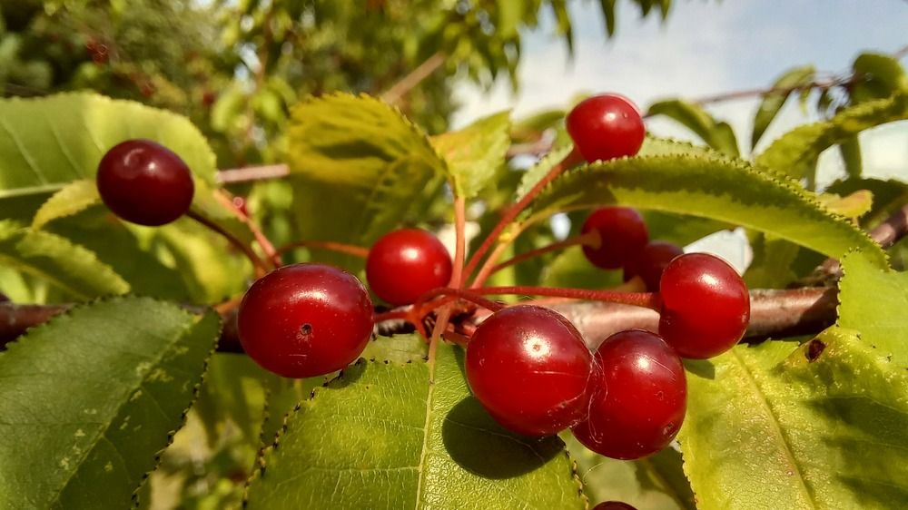 Фотография автора Евгения Зайцева