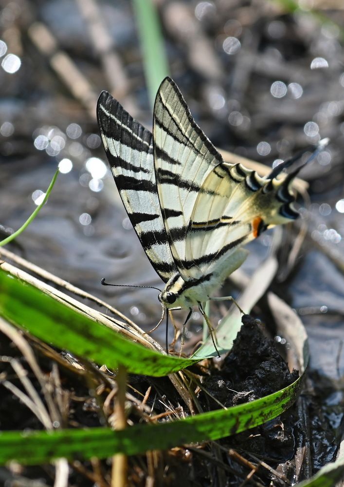 Photograph by Валерий Афанасьев