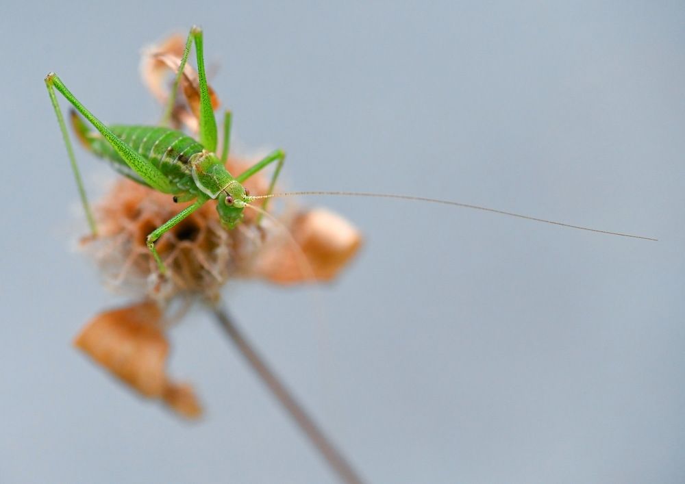 Photograph by Валерий Афанасьев