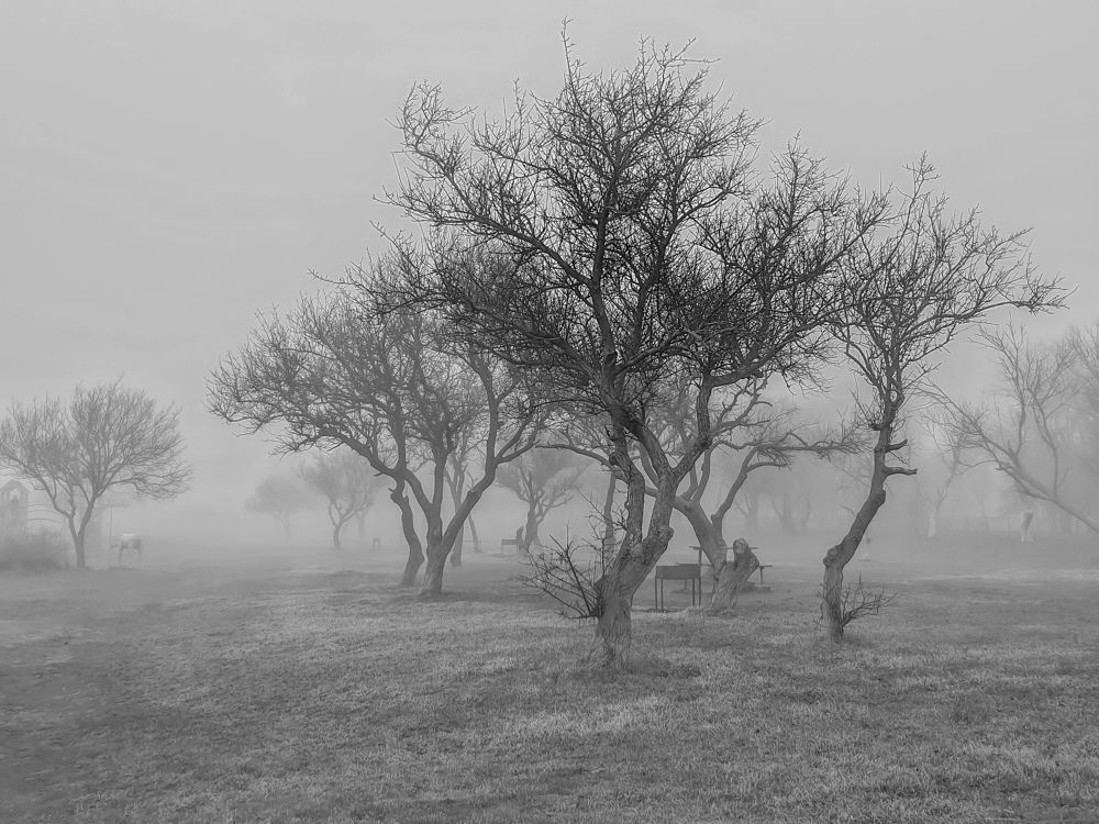 Photograph by Лариса Когтева