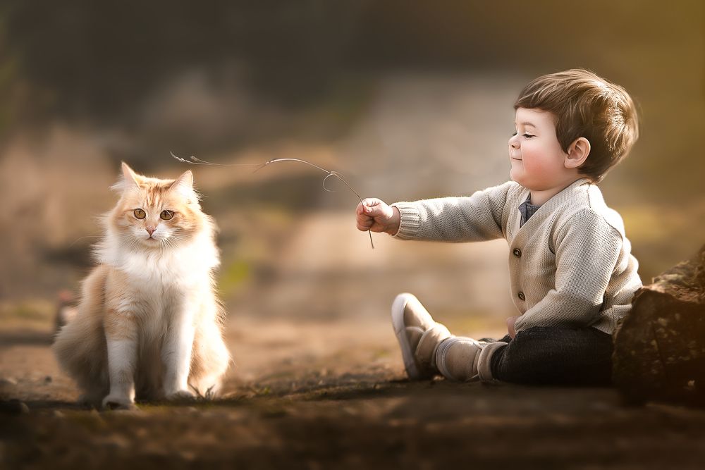 Фотография автора Emma Tatiana Pedemonte