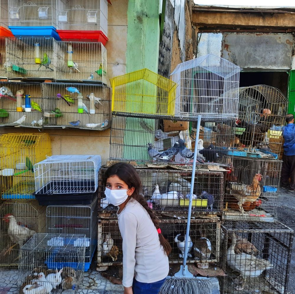 Photograph by Ka Hedi