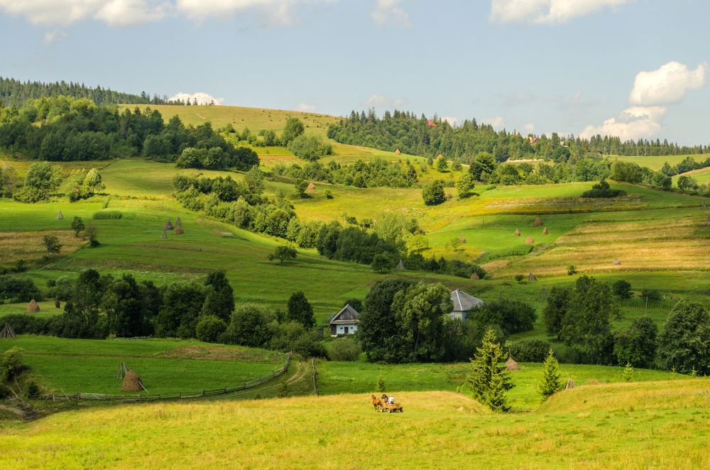 Закарпатский пейзаж