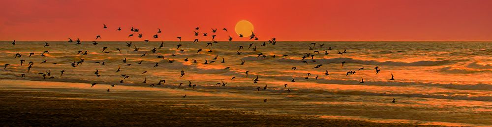 Photograph by Leonid Lan