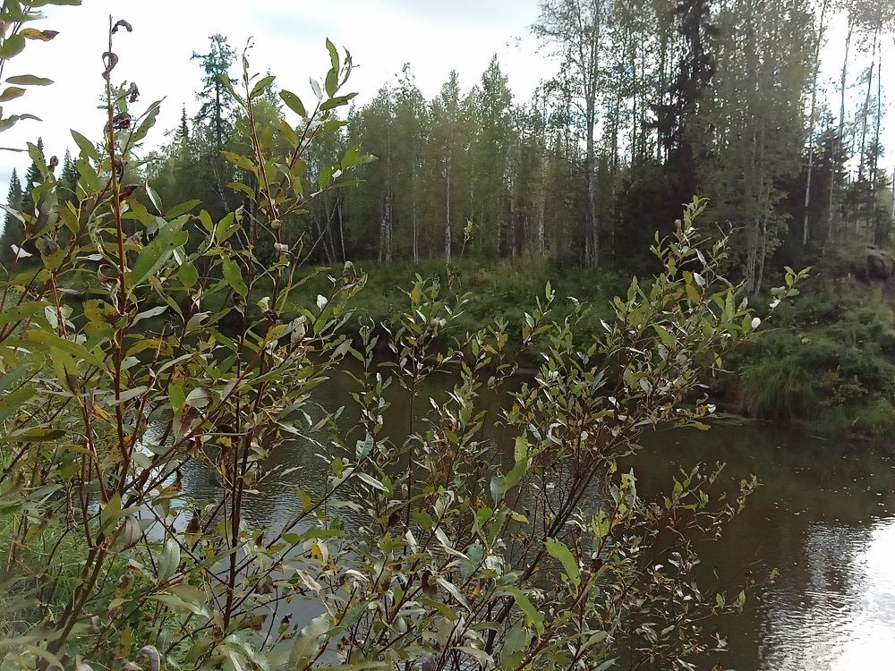 Photo #6473480