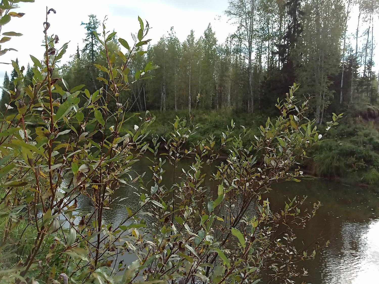 Photo #6473480
