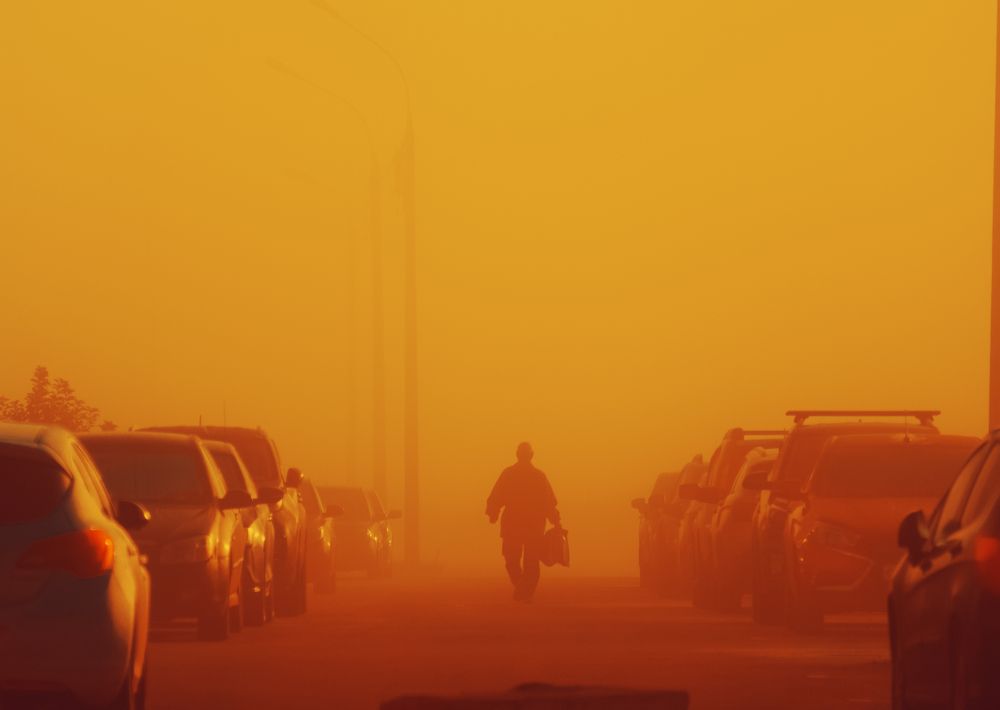 Photograph by Артём Аниськин