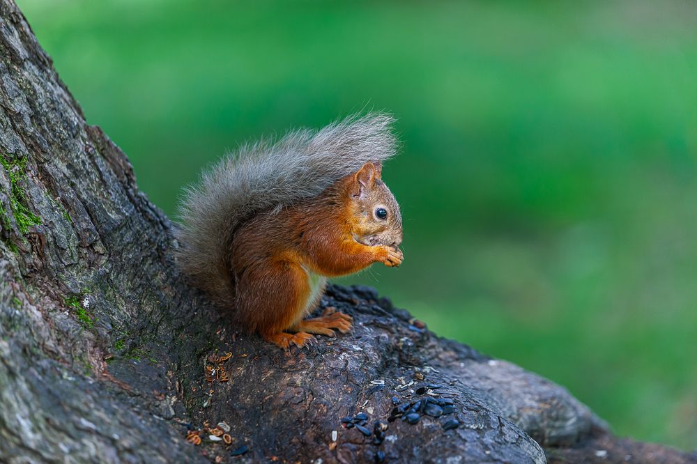 Photograph by juri kutukov