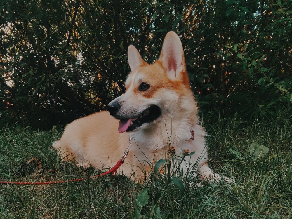Photo #6473797