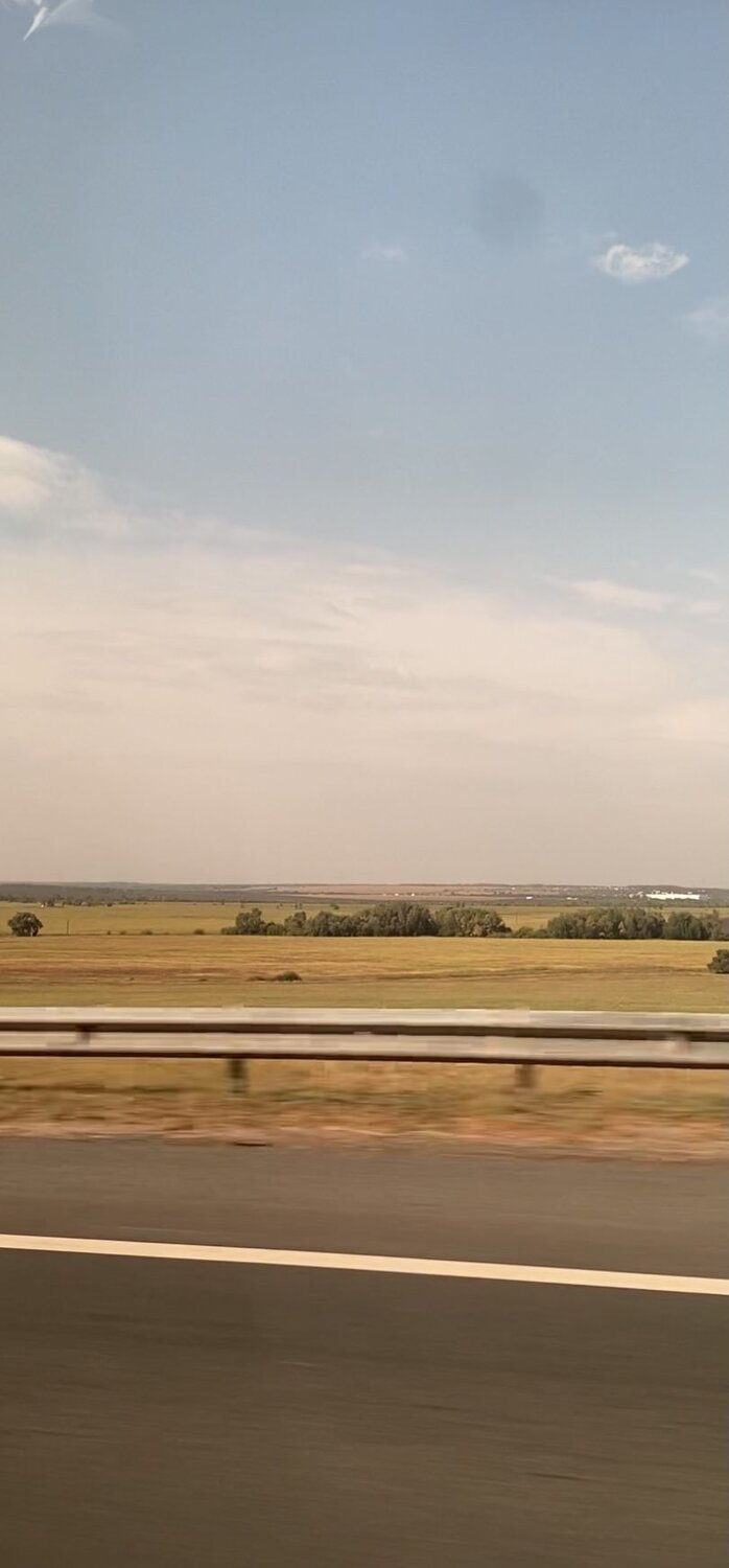 Photo #6473848