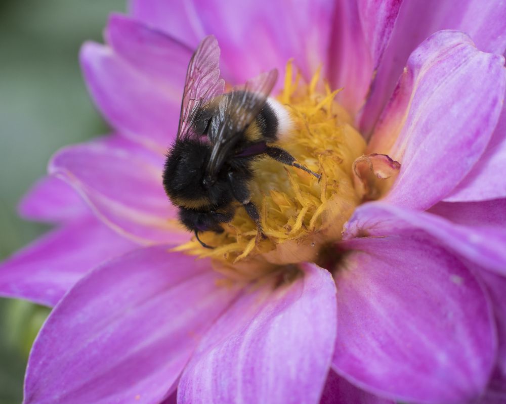 Фотография автора Анастасия Ершова