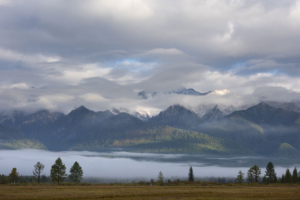 Photograph by Елена Вторушина