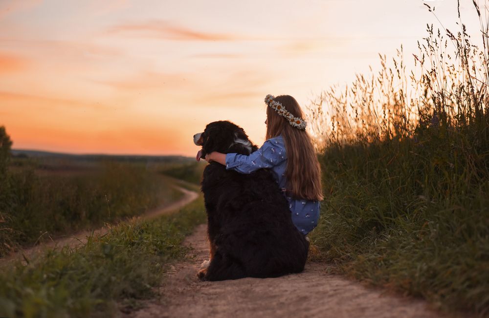 Фотография автора Екатерина Шаманаева