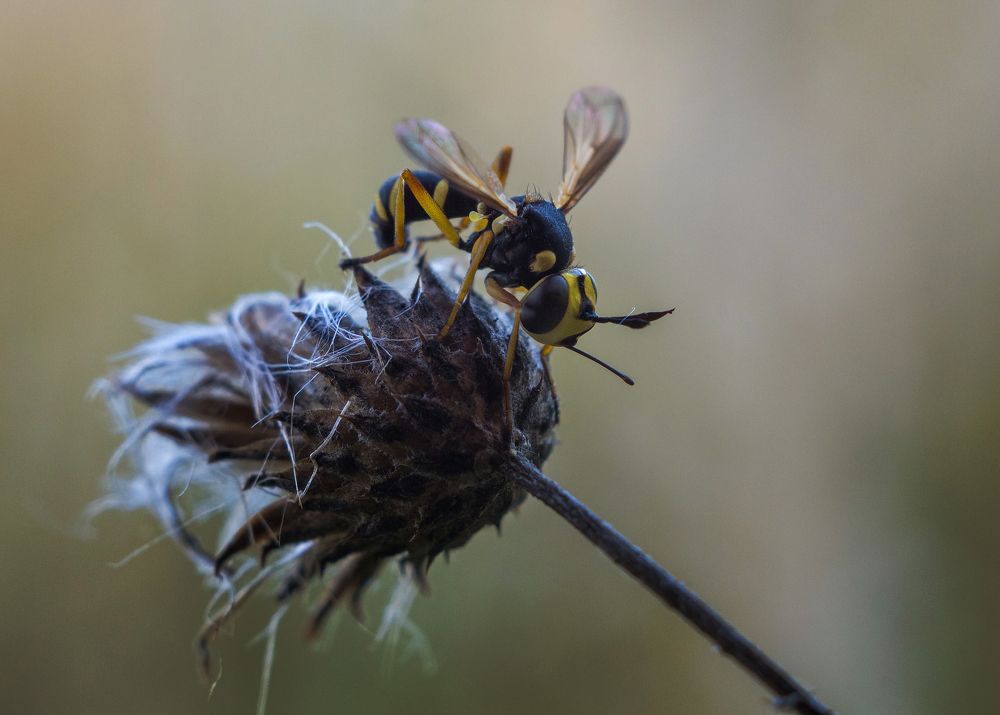 Photograph by Андрей Бурда