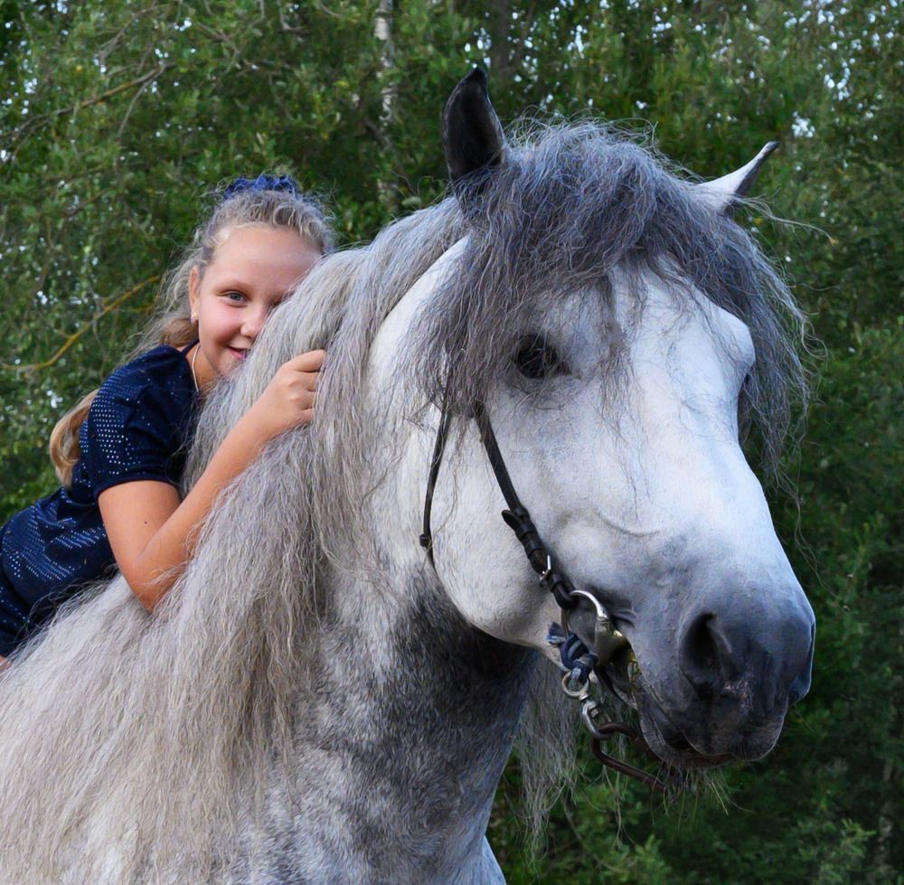 С верным другом