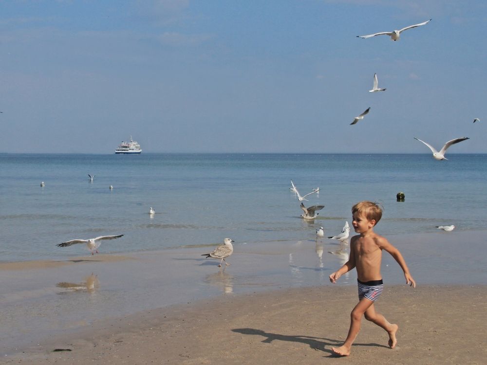 Photograph by Barbara Podlecka