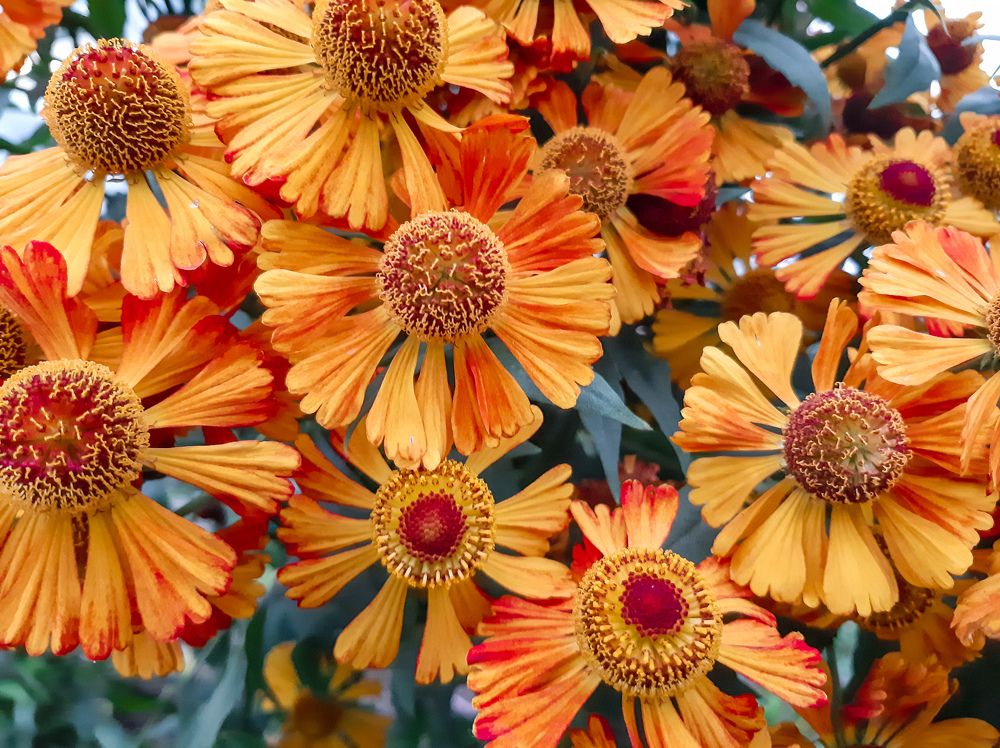 Фотография автора Светлана Дунаева