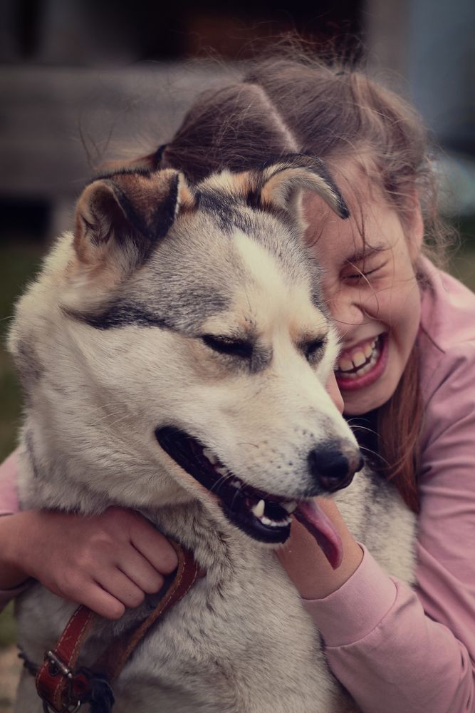 Фотография автора Екатерина Шаманаева