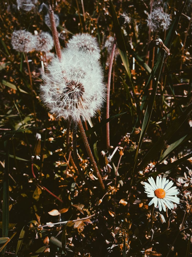 Photograph by Ljiljana Šarčević